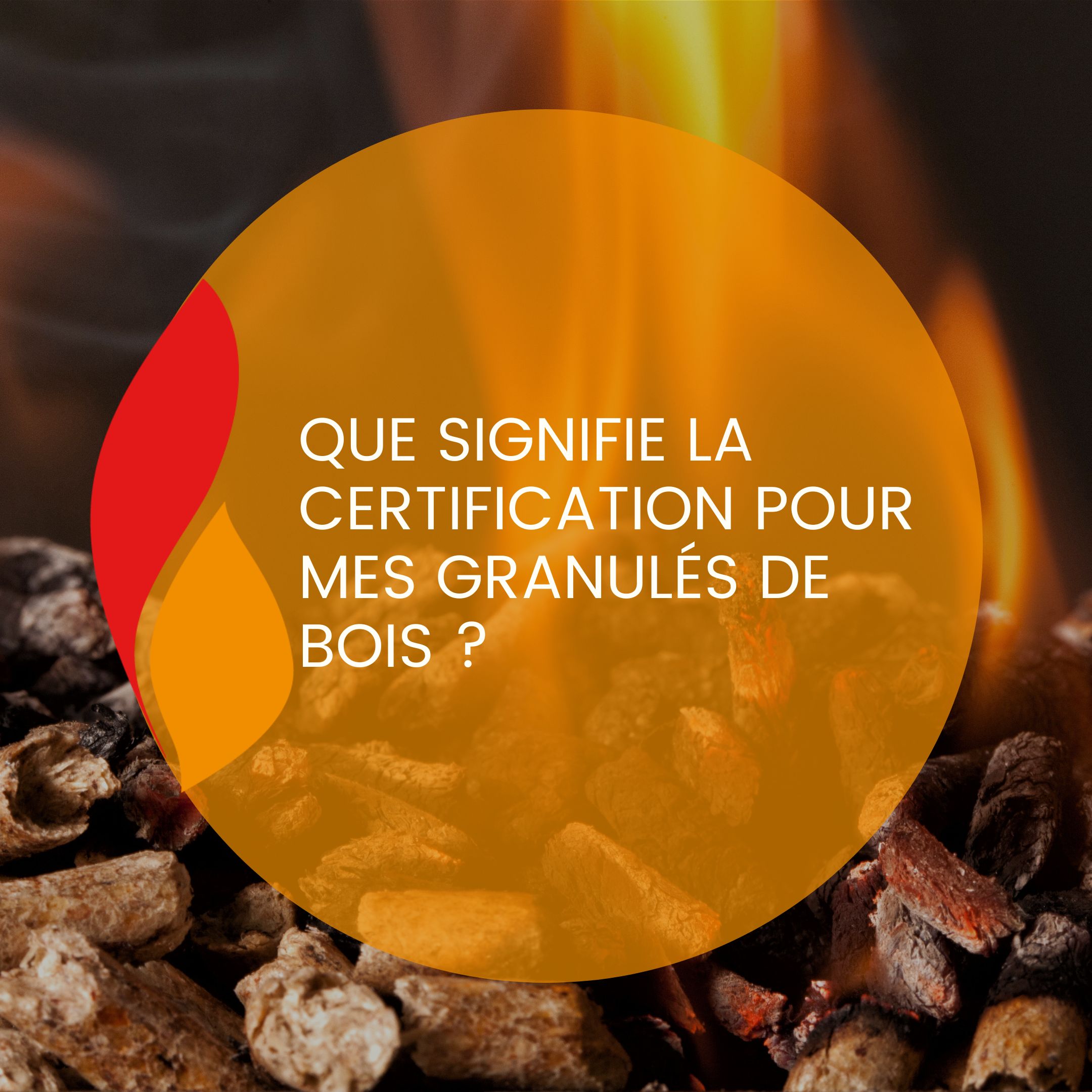Lire la suite à propos de l’article Que signifie la certification pour mes granulés de bois ?