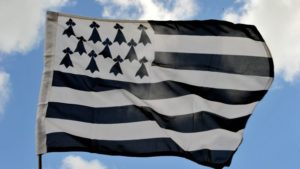 Lire la suite à propos de l’article Breizh bois : quelles solutions pour du bois breton ?