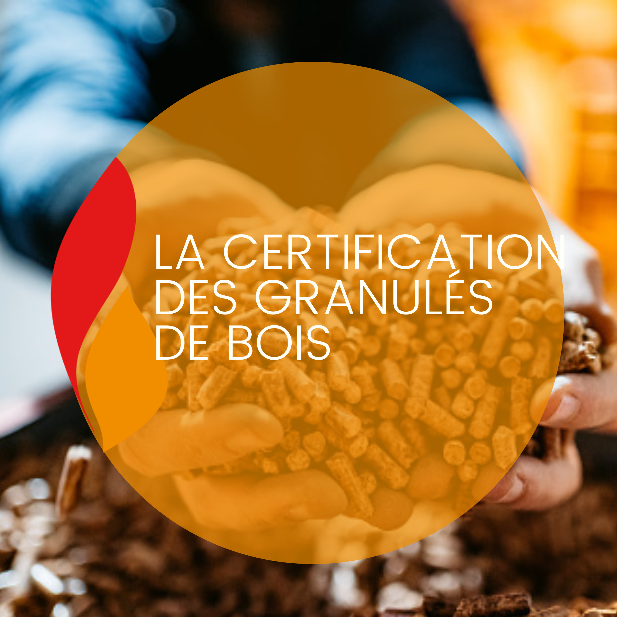 You are currently viewing La certification des granulés de bois