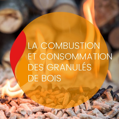 Explication sur les combustibles : granulés de bois, les bases