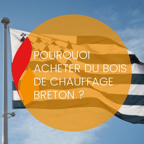 Lire la suite à propos de l’article Pourquoi acheter du bois de chauffage breton ?