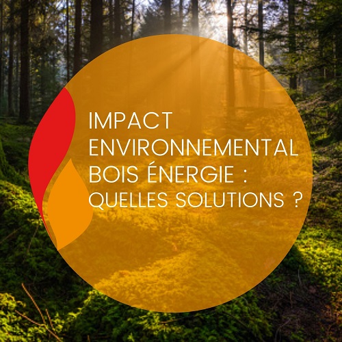 Lire la suite à propos de l’article Impact environnemental bois énergie : quelles solutions ?