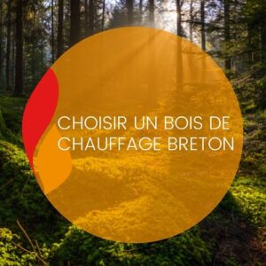 Lire la suite à propos de l’article Choisir un bois de chauffage breton