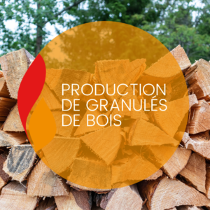 Lire la suite à propos de l’article Production de granulés de bois