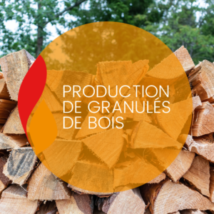 Explication sur les combustibles : granulés de bois, les bases