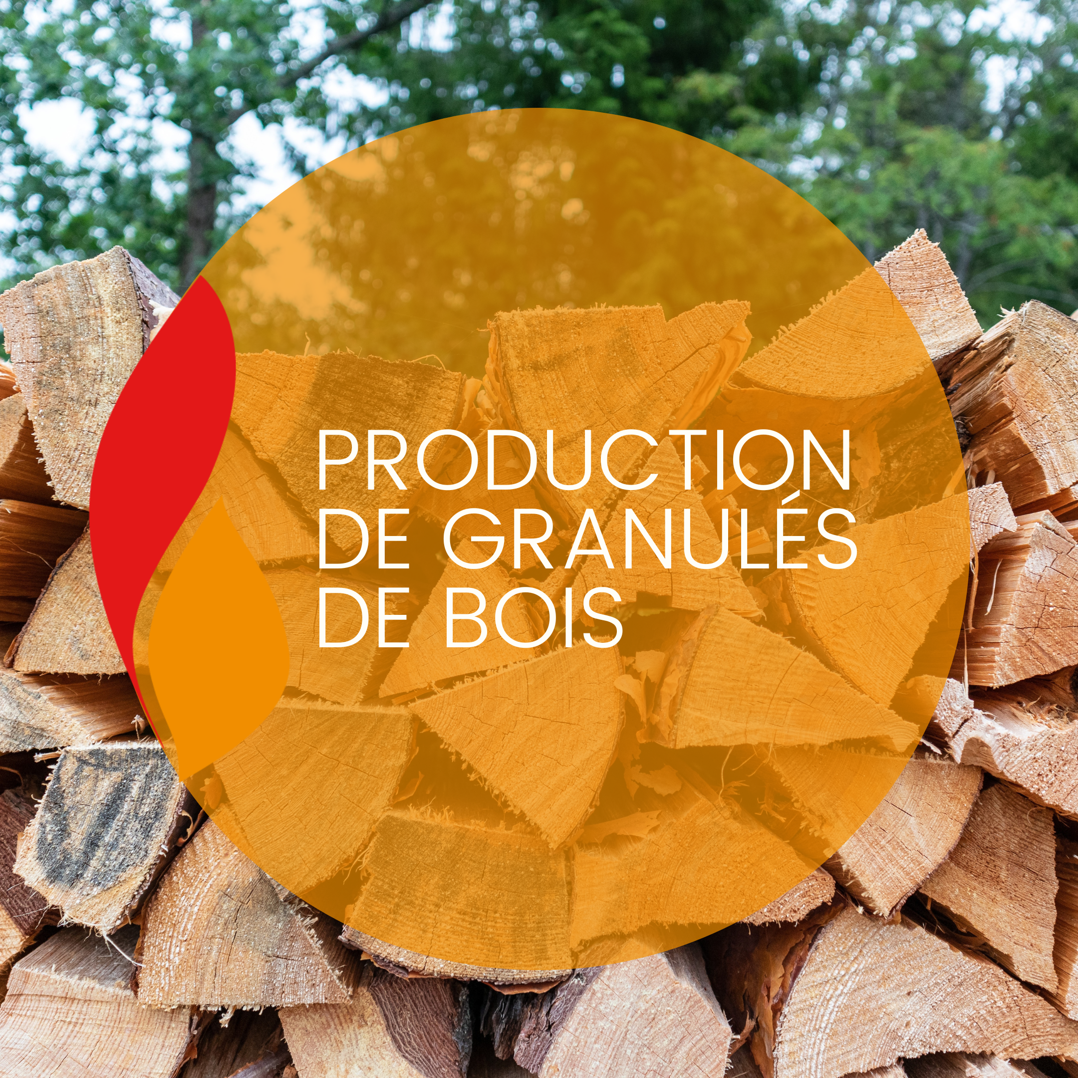 You are currently viewing Production de granulés de bois