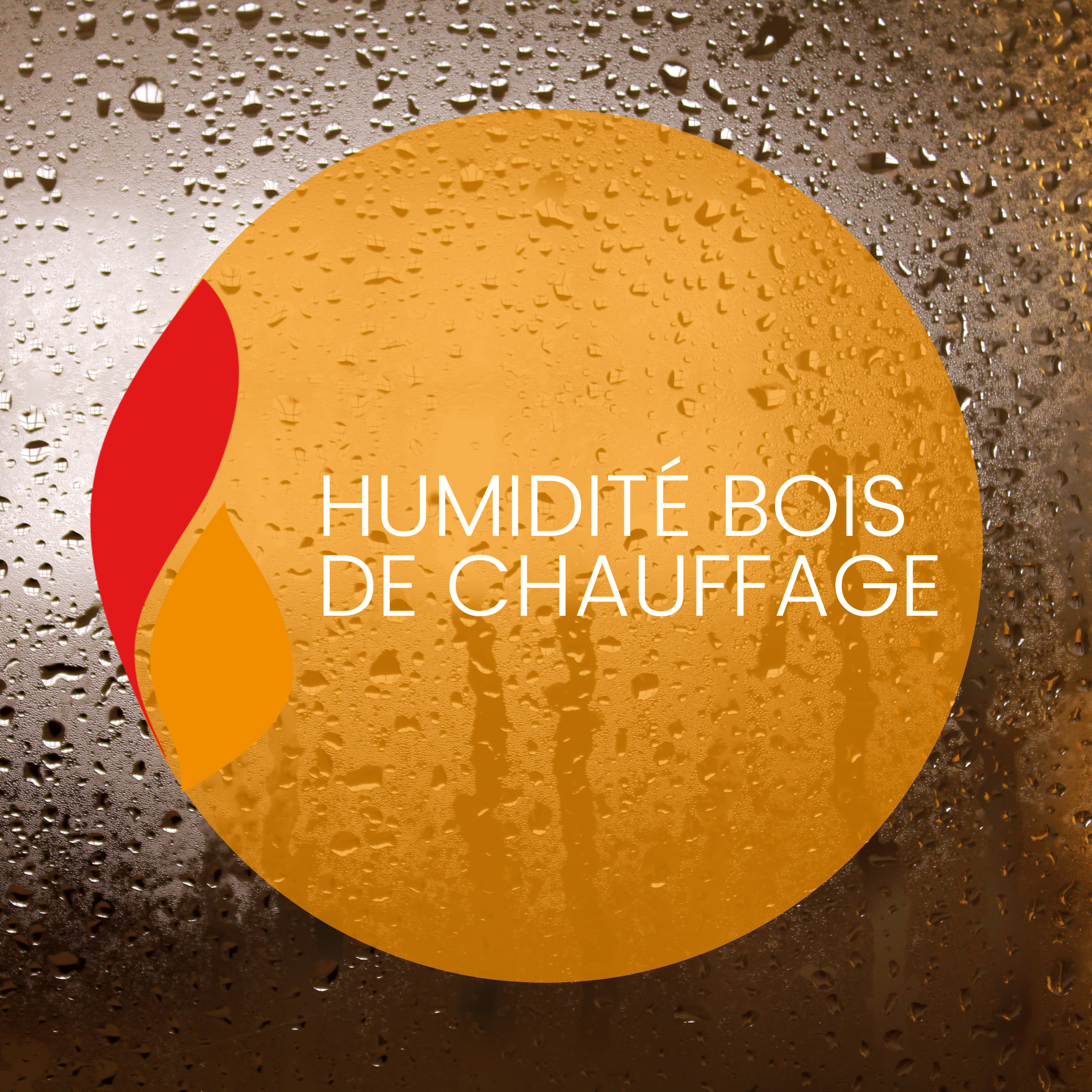 You are currently viewing Humidité bois de chauffage