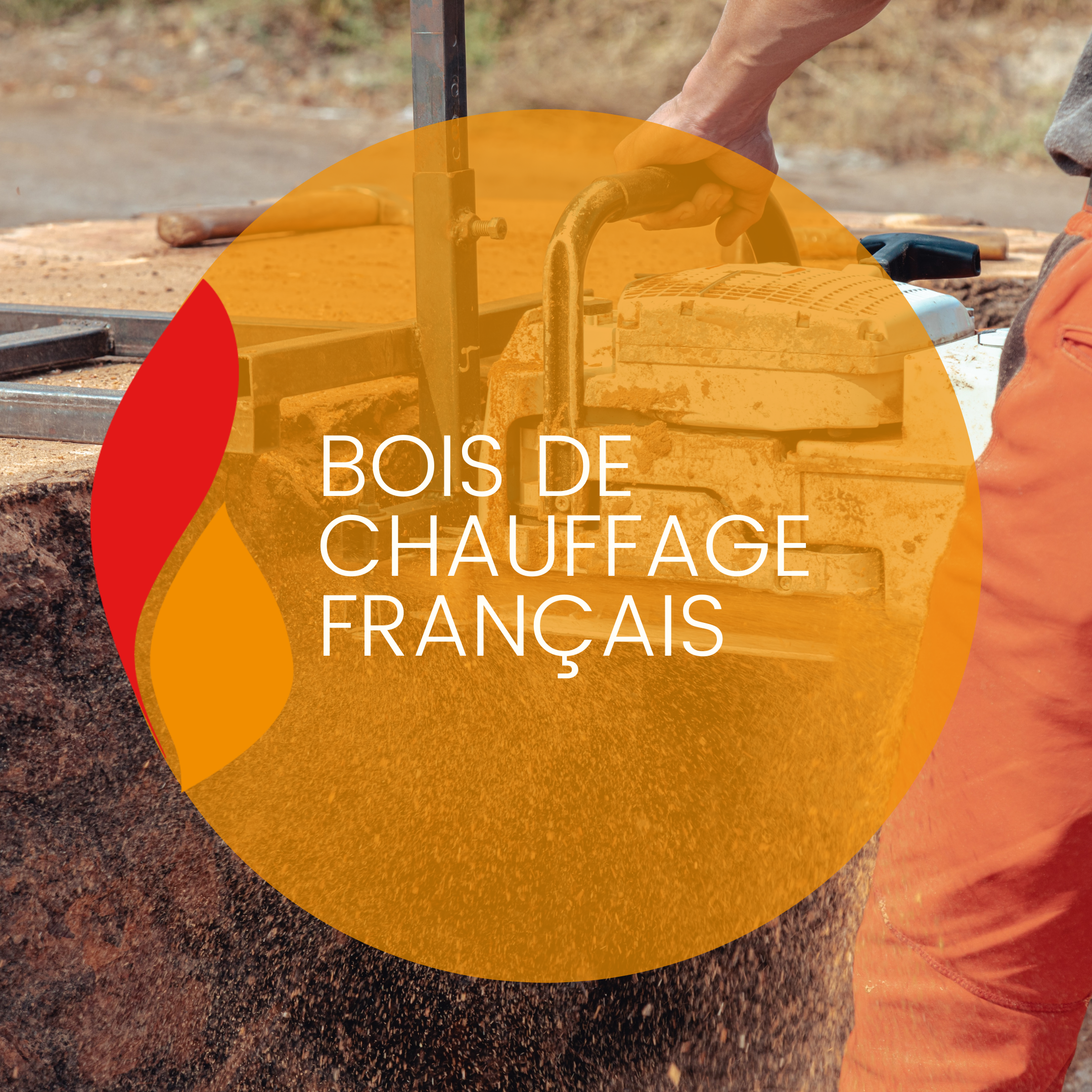 Lire la suite à propos de l’article Bois de chauffage Français