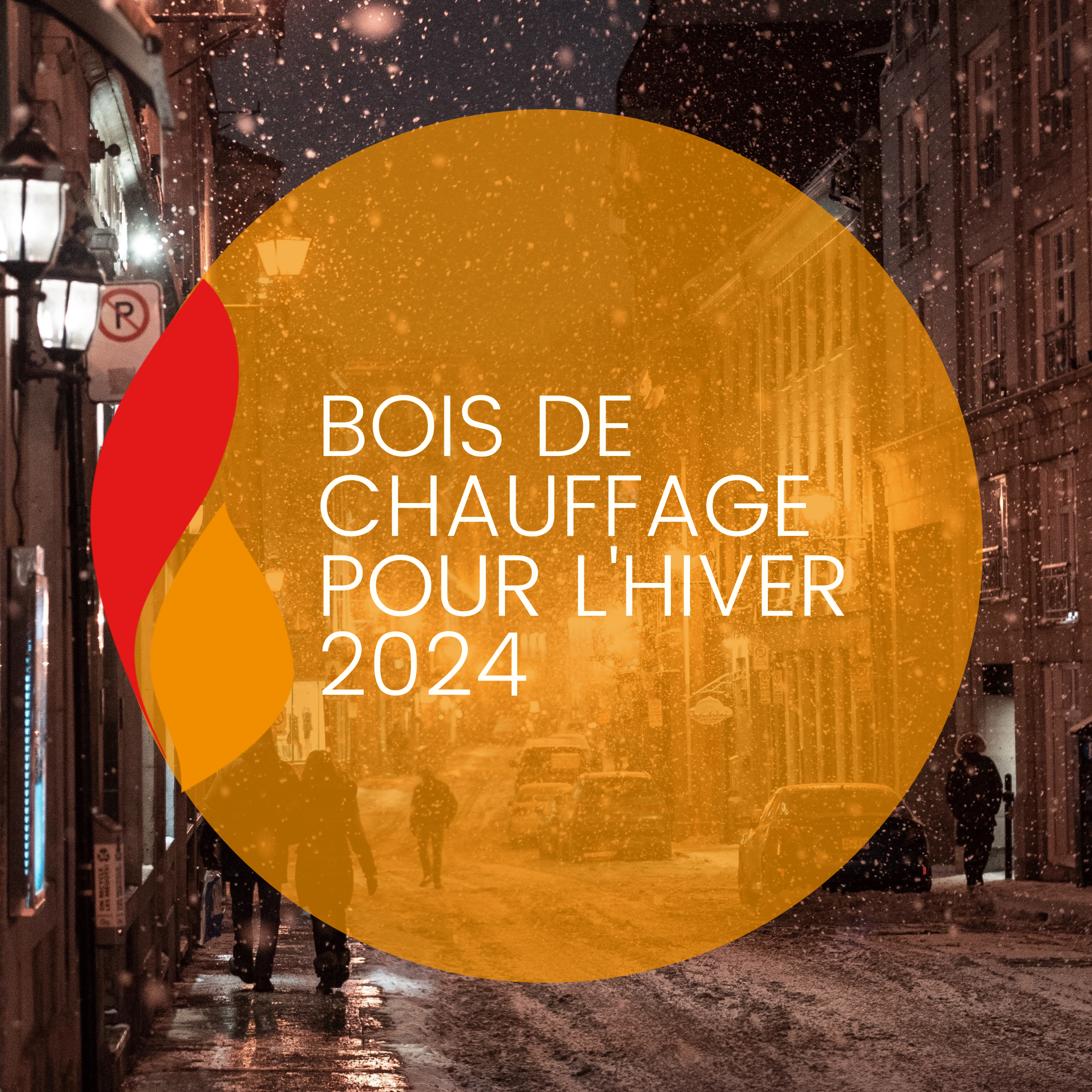 You are currently viewing Bois de chauffage pour l’hiver 2024