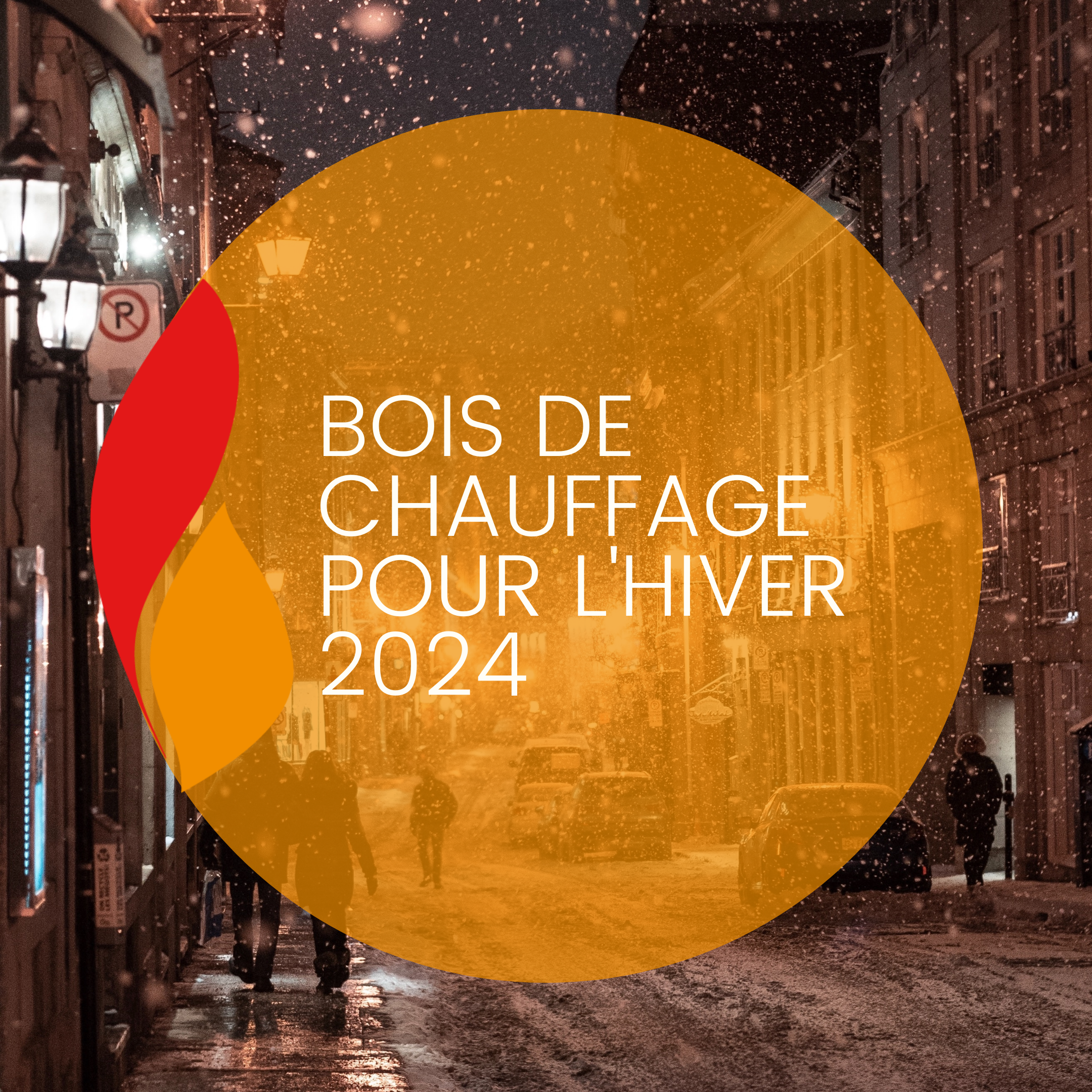 Lire la suite à propos de l’article Bois de chauffage pour l’hiver 2024