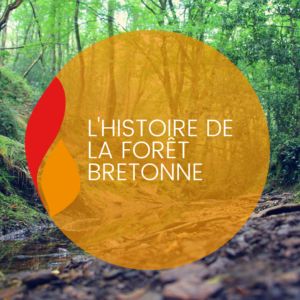 Lire la suite à propos de l’article L’histoire de la forêt bretonne